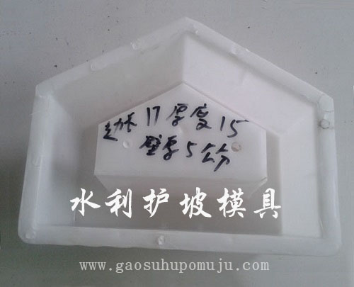 1607063854178156.jpg 连锁护坡砖模具